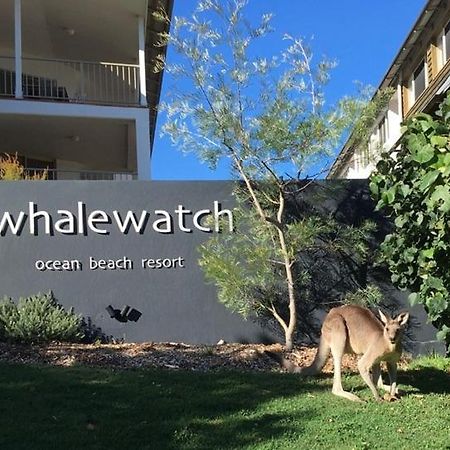 بوينت لوكاوت Whale Watch Ocean Beach Resort المظهر الخارجي الصورة