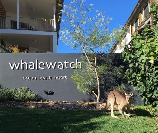 بوينت لوكاوت Whale Watch Ocean Beach Resort المظهر الخارجي الصورة